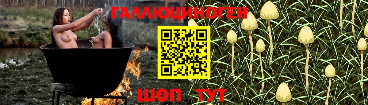 Псилоцибиновые грибы Cubensis  Псилоцибиновые грибы прущие грибы  Шатура  Вход с VPN 
